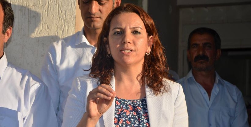 DTK Eş Başkanı Irmak: Zulme karşı öz yönetim ilanı demokratik haktır