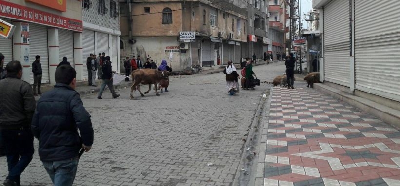 Cizre'de bir yurttaş özel harekatçıların saldırısında yaşamını yitirdi