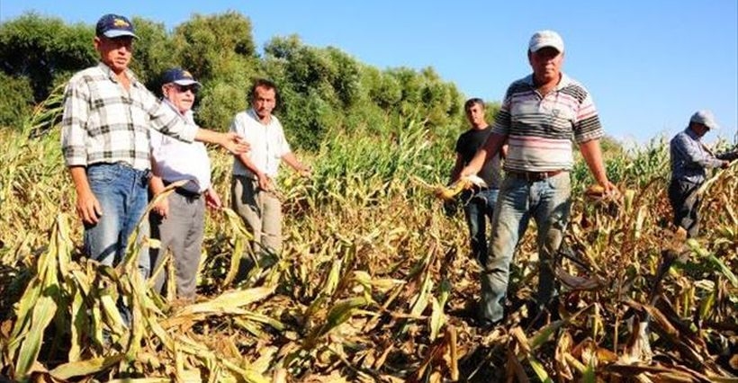 İsteğe bağlı sigorta primleri mağdur ediyor