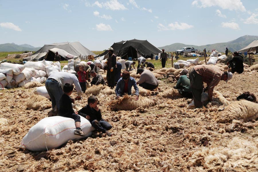 Van'da 103 mera ve yayla kullanıma kapatıldı