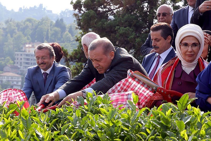 İmam hatipliler Sayıştay başkanlığı için yarışacak! 