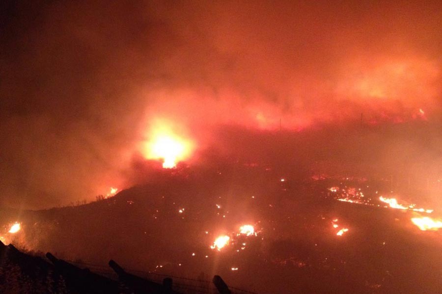 Buca'da ormanlık alandaki yangın hızla yayılıyor