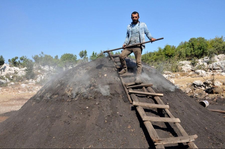 Odunu önce kömüre sonra paraya çeviriyorlar