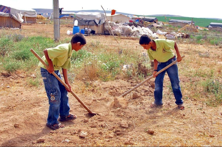 Çocukların yüzde 55’i çalıştırılıyor