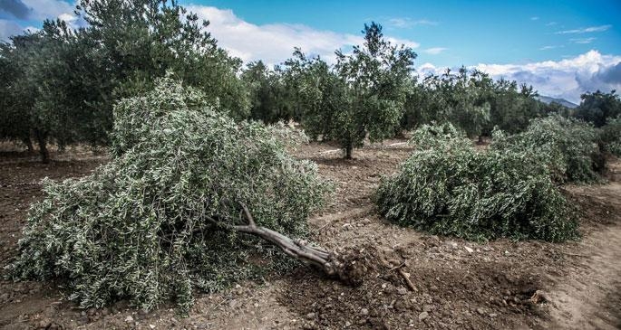 Soma'dan Ardahan'a Türk usulü ‘enerjokrasi’ye doğru