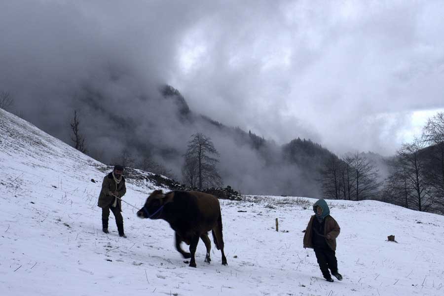 Kalandar Soğuğu