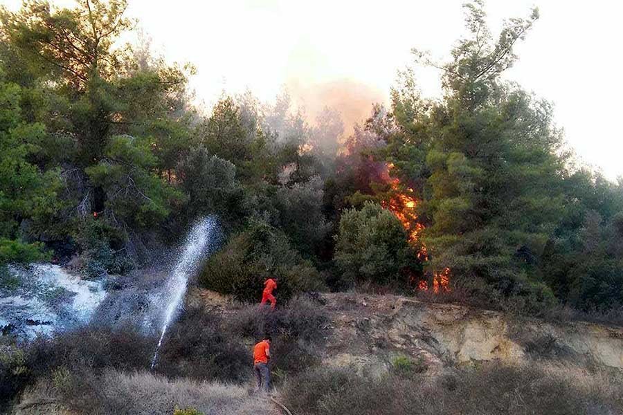 Antalya'da 10 hektar ormanlık alan ve zeytin ağaçları yandı
