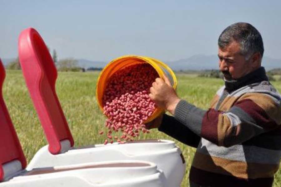 Yerli tohum yok olacak, şirketler tekelleşecek