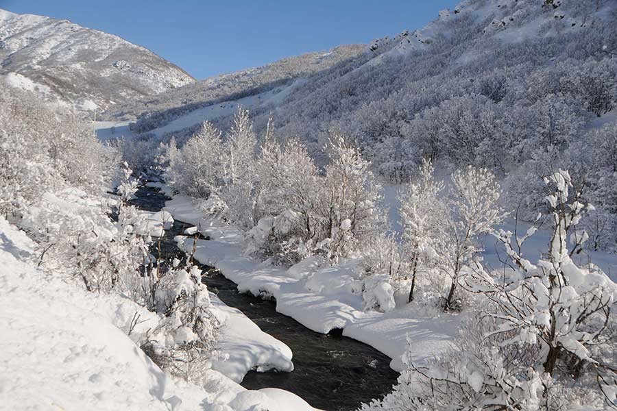 Dersim'de kar yağışı nedeniyle 250 köy yolu ulaşıma kapandı