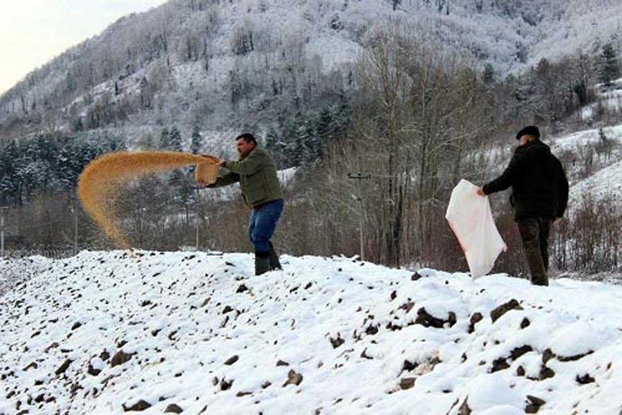 Bartın'da yaban hayvanları için doğaya yem bırakıldı