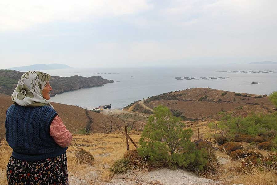 Nergisler yas tutup foklar ağlasın...