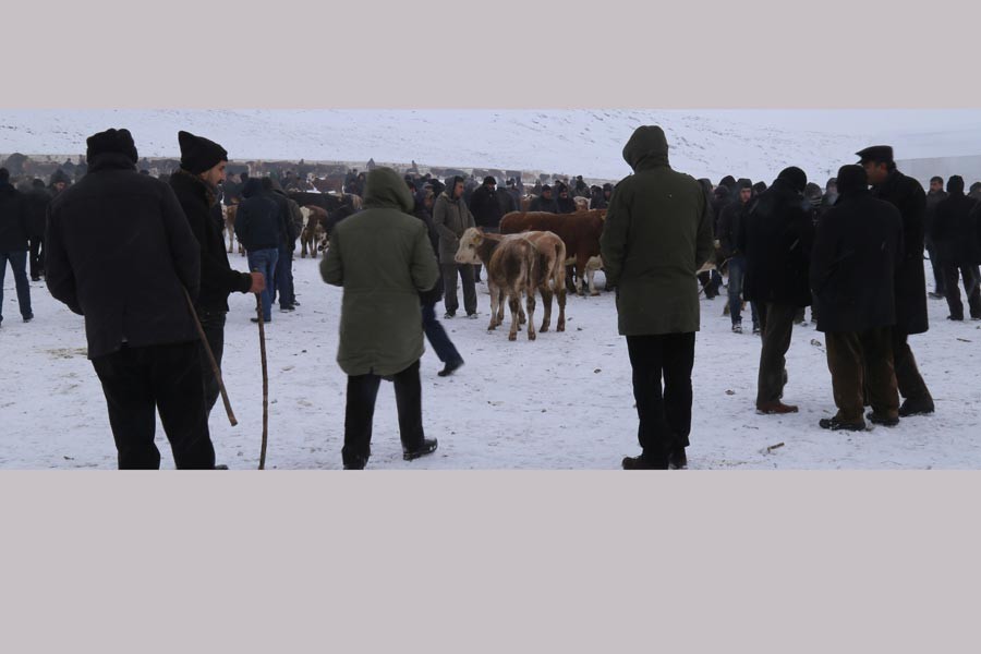 Besiciler hayvanlarını satamıyor: Hayvan pazarı dondu!