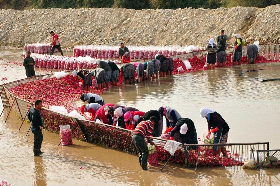 Kadınlar işsizlik ve  kayıtdışı pençesinde