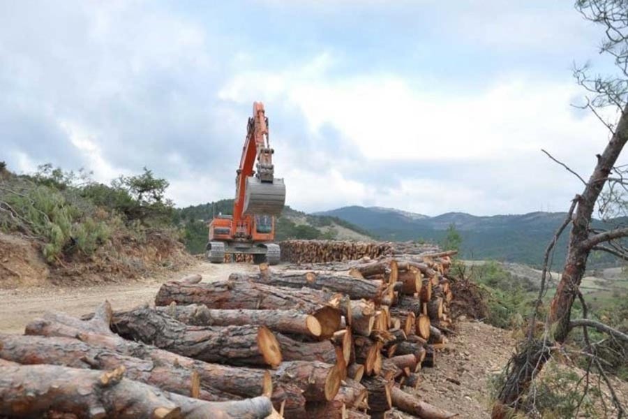 SİT alanlarını talana açan ilke kararlarına dava açıldı