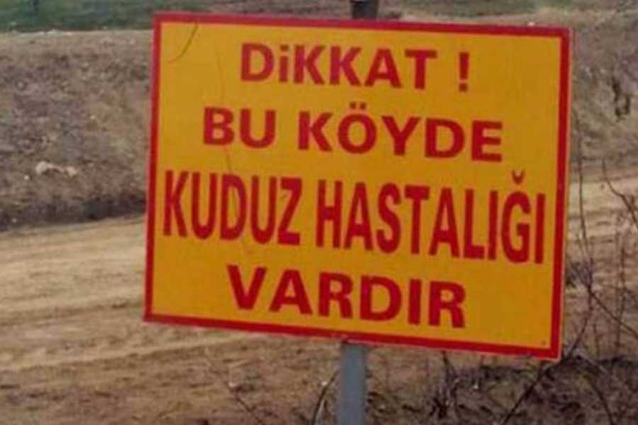 Elazığ'da kuduz alarmı