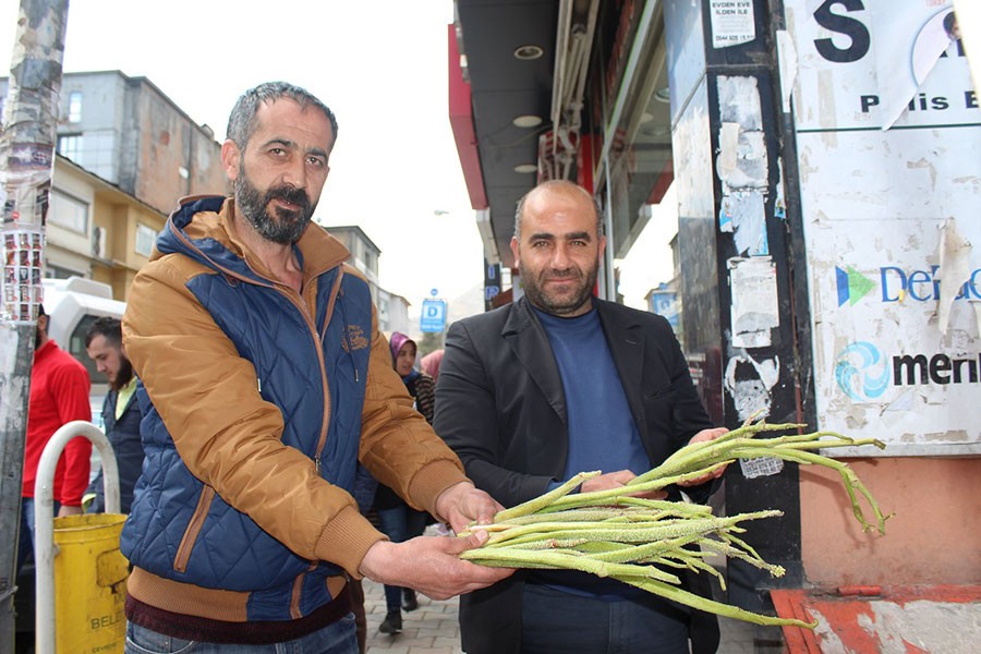 Baharın müjdecisi uçkun cep yakıyor