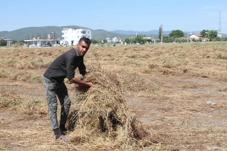 Yerli işçiye 70 TL, Suriyeliye 37 TL yevmiye