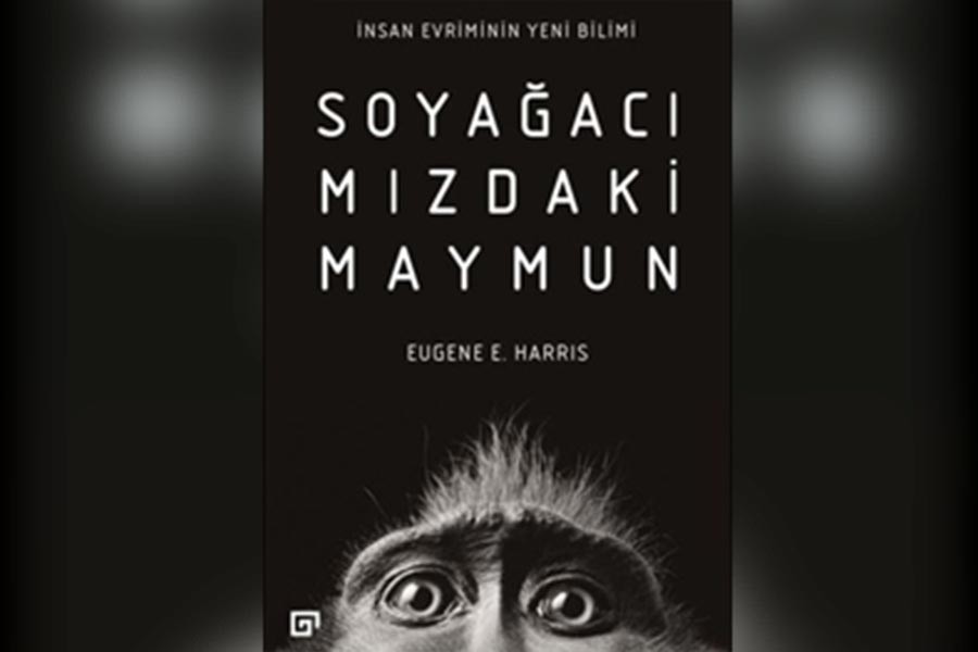 İnsan evriminin yeni bilimi: Soyağacımızdaki Maymun