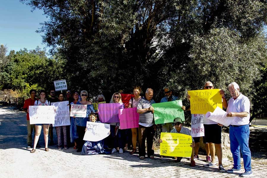 Bodrum'da 2 bin yıllık zeytinin gölgesinde eylem