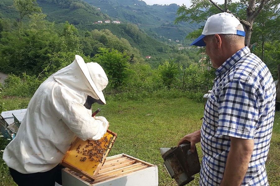 Olumsuz hava koşulları akasya balını vurdu