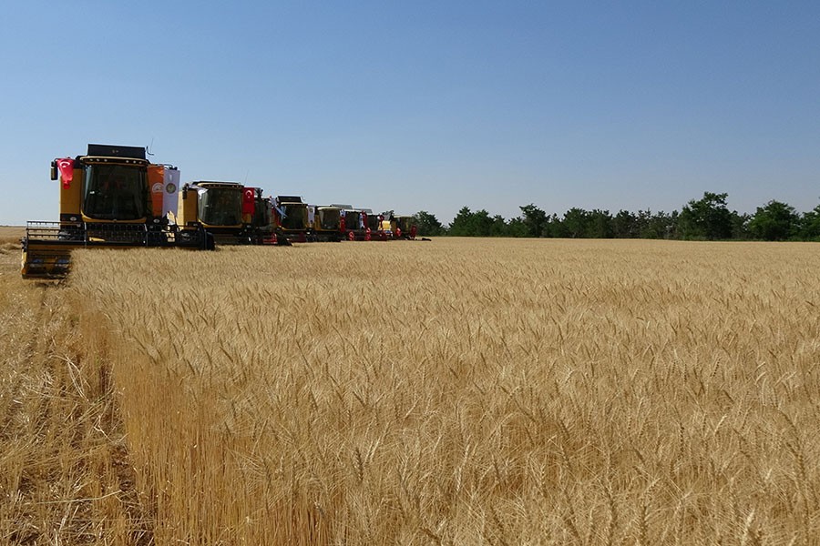 Buğday alım fiyatı ton başına 940 lira