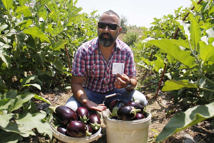 İzinsiz topladığı patlıcanlar için para ve not bıraktı