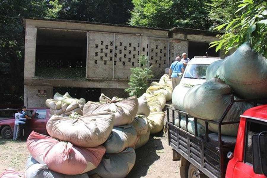 Kota uygulaması çay üreticisini canından bezdiriyor