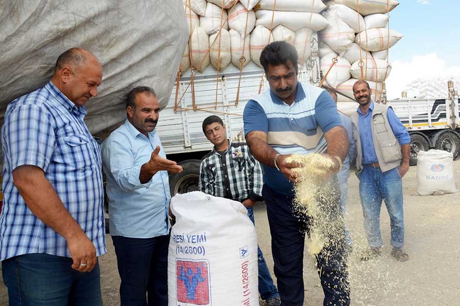 Ardahanlı besiciler saman krizi yaşıyor