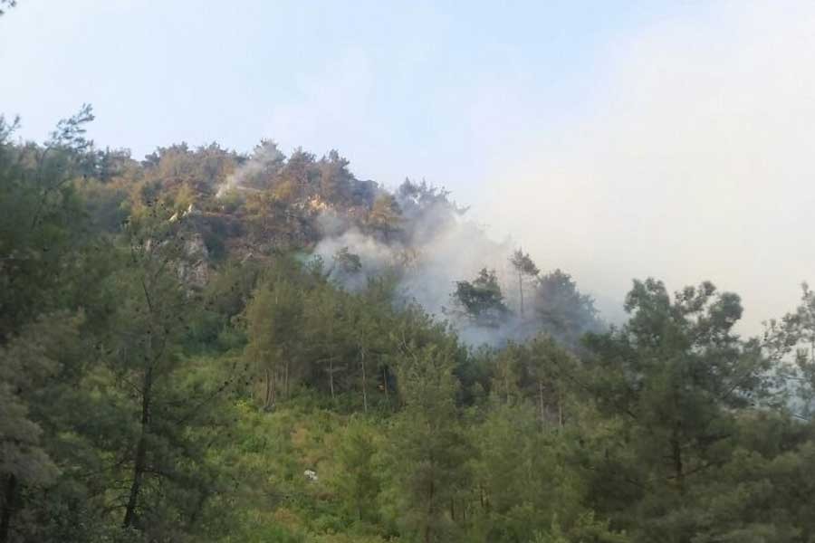 Hatay'da 5 hektar orman yandı