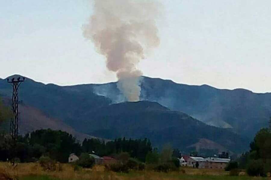 Dersim’de orman yangını