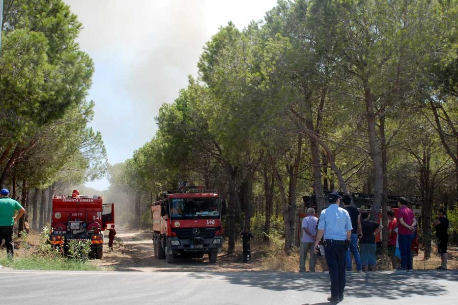 Antalya'da orman yangınında 50 dönüm alan zarar gördü