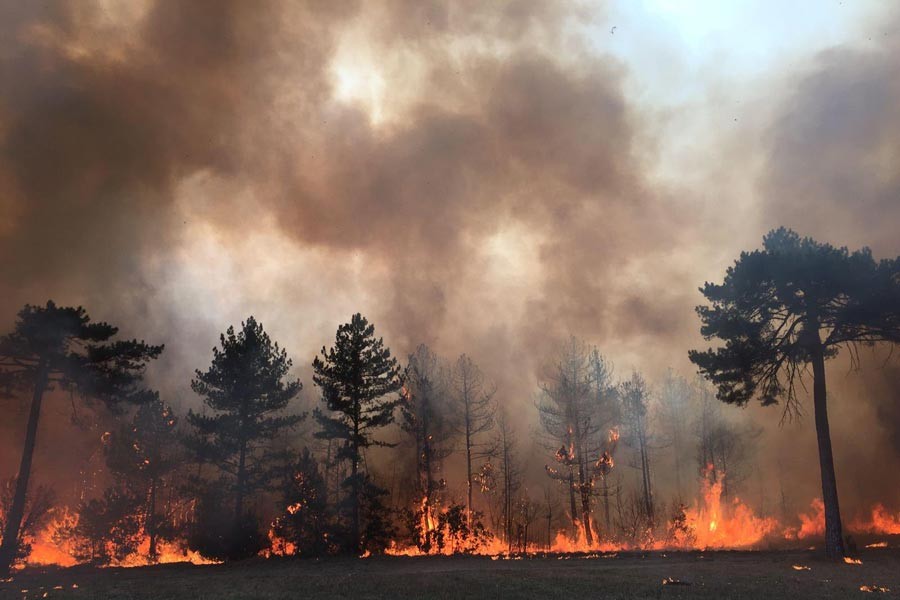 'Meteorolojik alarm': Pek çok merkezde orman yangınları