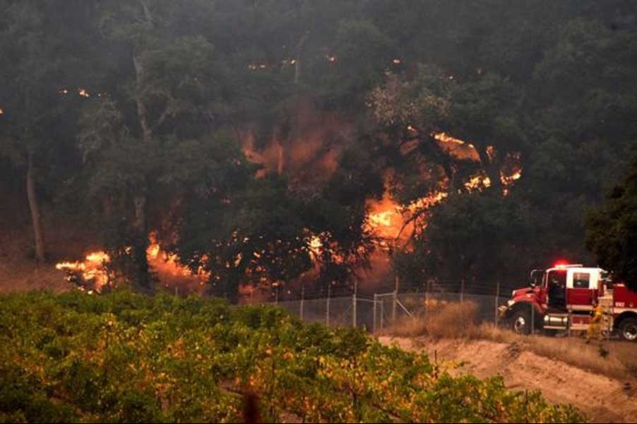 California'daki yangınlarda ölü sayısı 29'a çıktı