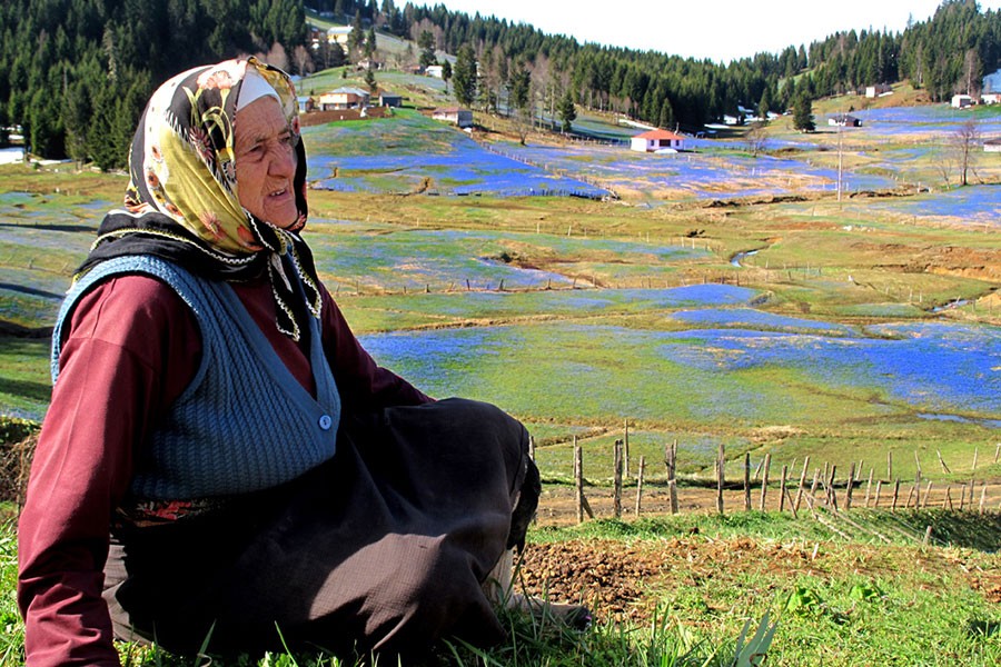 Kadıralak Yaylası'nın talana açılması yargıya taşındı