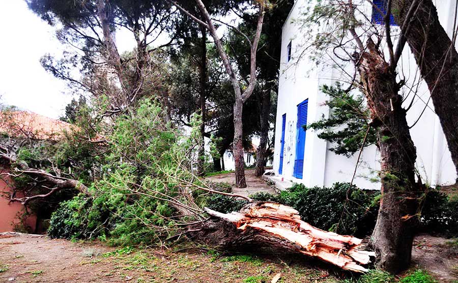 Bodrum'da lodos hayatı olumsuz etkiledi