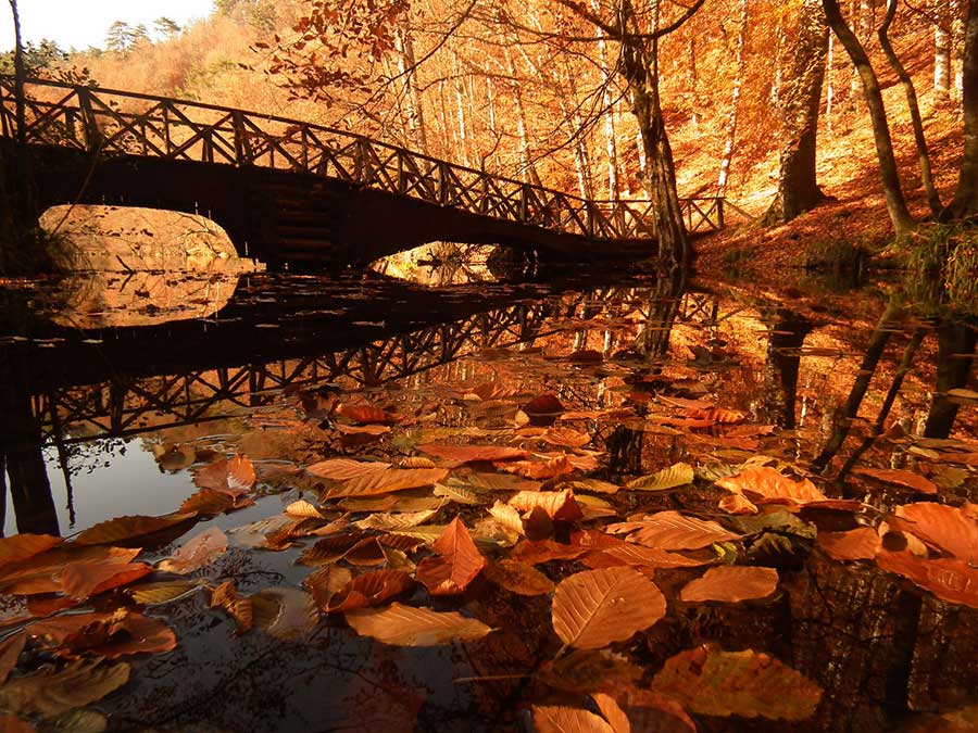 7. Yedigöller, Bolu