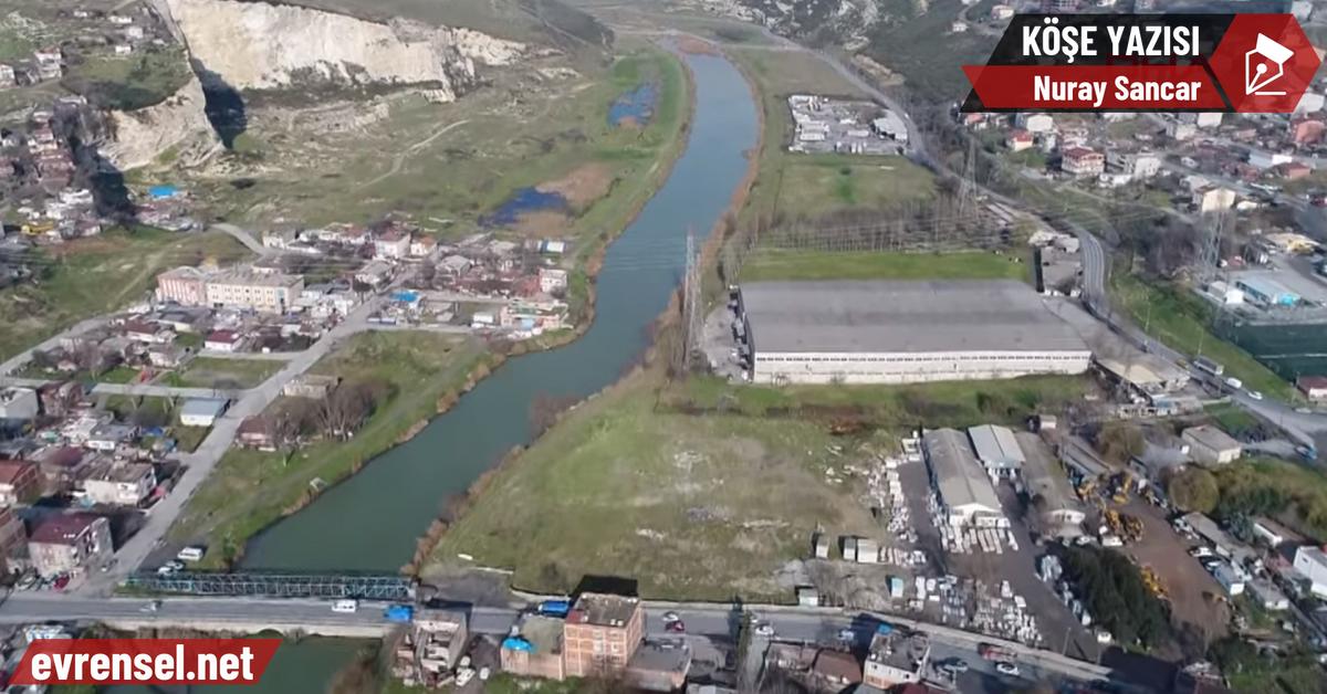 Montreux και Canal καθώς η εγκατάσταση αλλάζει – Nuray Sancar